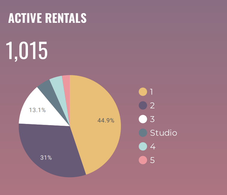 active airbnb rentals