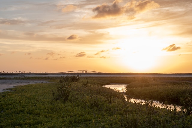 Rental Regulations in Corpus Christi, TX